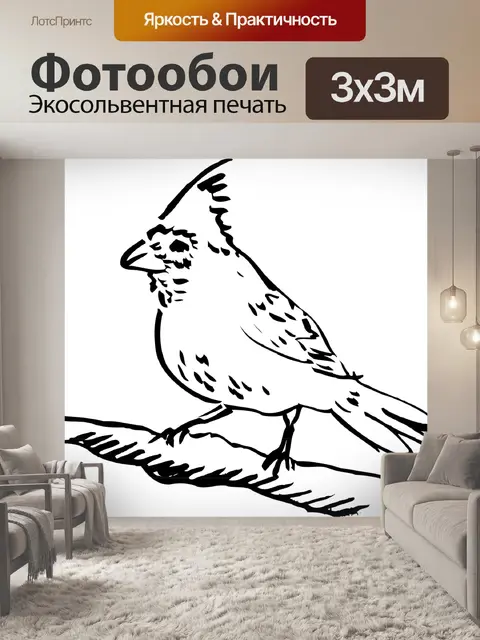 Фотообои Птица