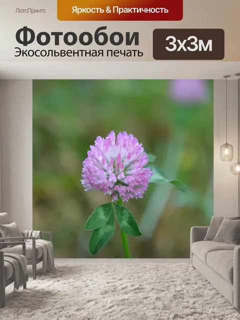 Фотообои Цветок одуванчика
