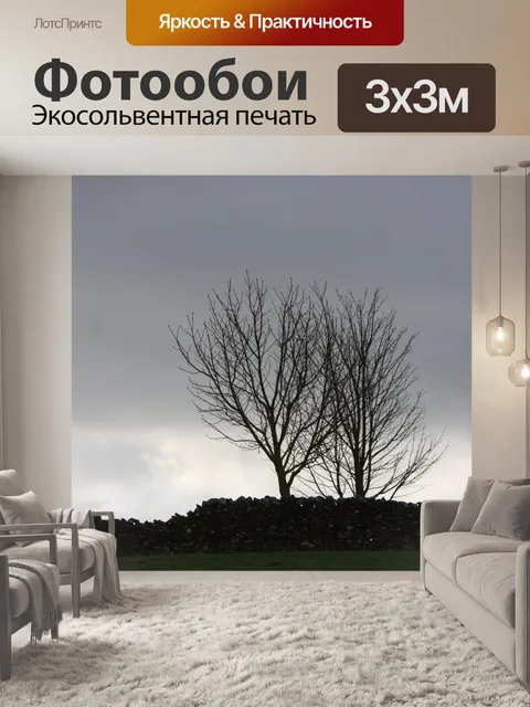 Фотообои Дерево Силуэт Зимнее утро
