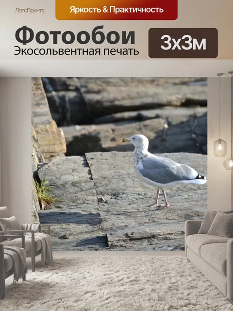 Фотообои Море