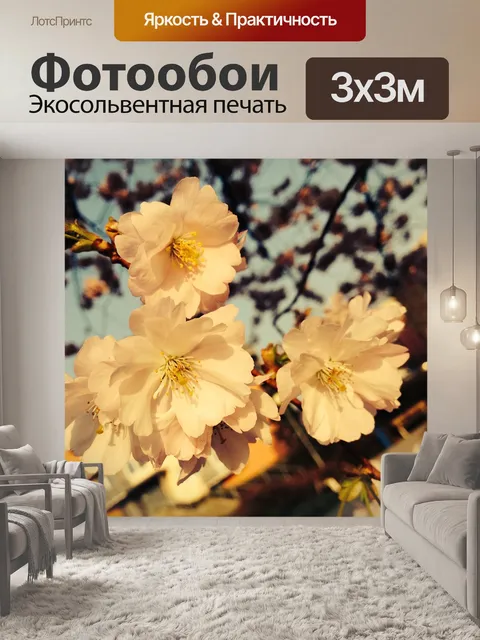 Фотообои Цветы