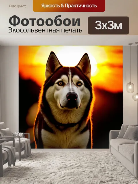 Фотообои эпичный ракурс хаски на фоне заката