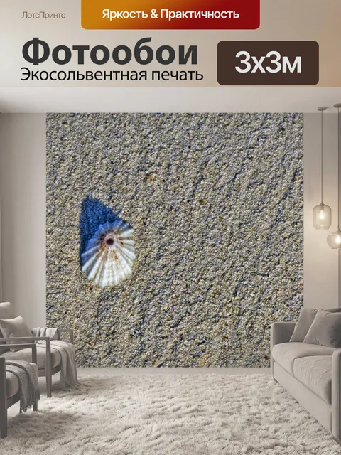 Фотообои Лимпет на песке