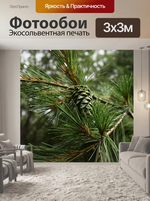 Фотообои Шишка