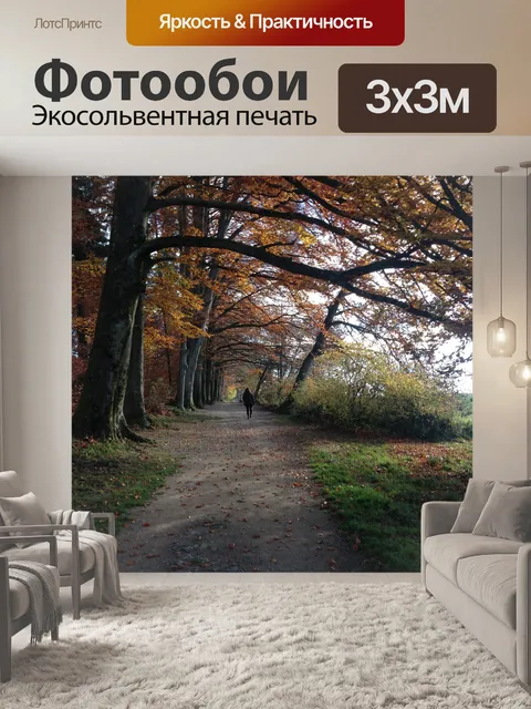 Фотообои Лес