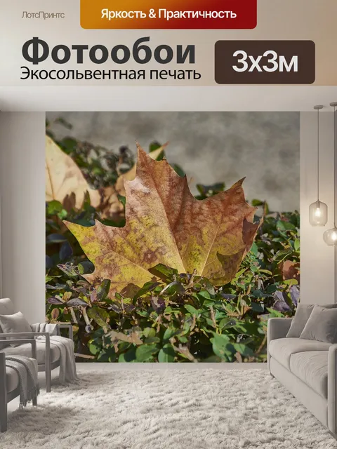 Фотообои Дерево