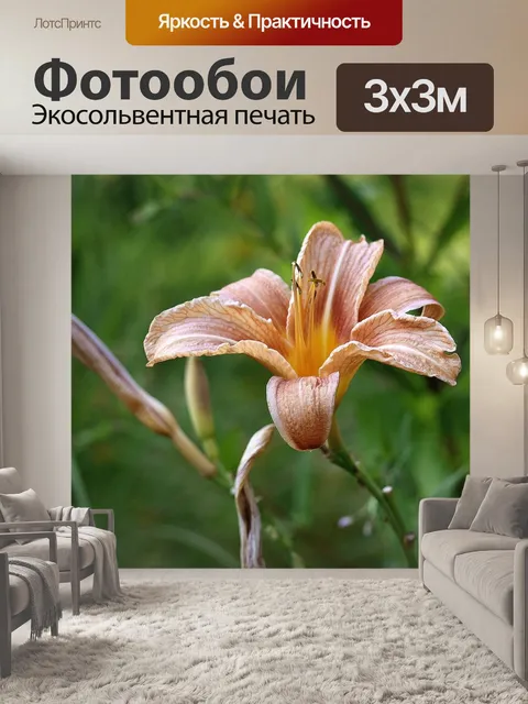 Фотообои Ирис