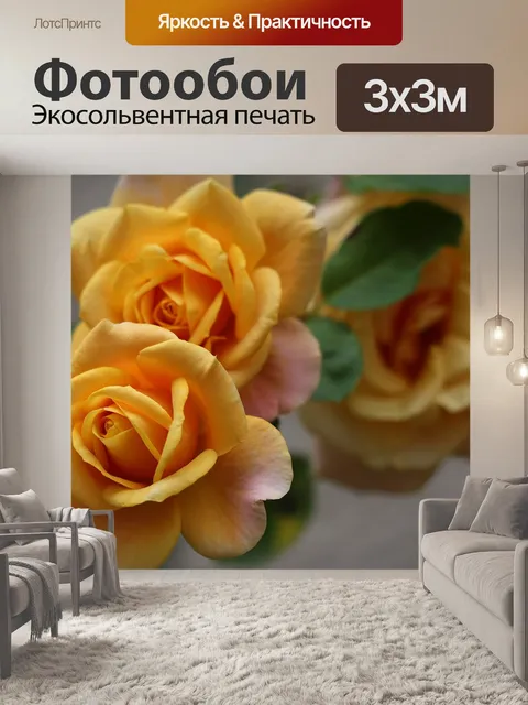 Фотообои Золотая медаль роза