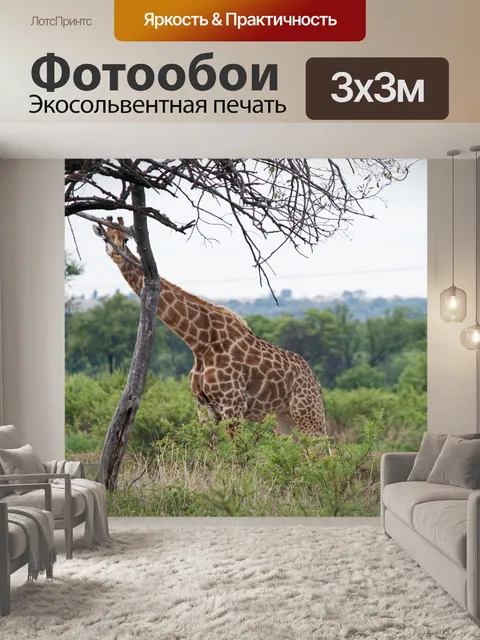 Фотообои высокий жираф за стройным деревом