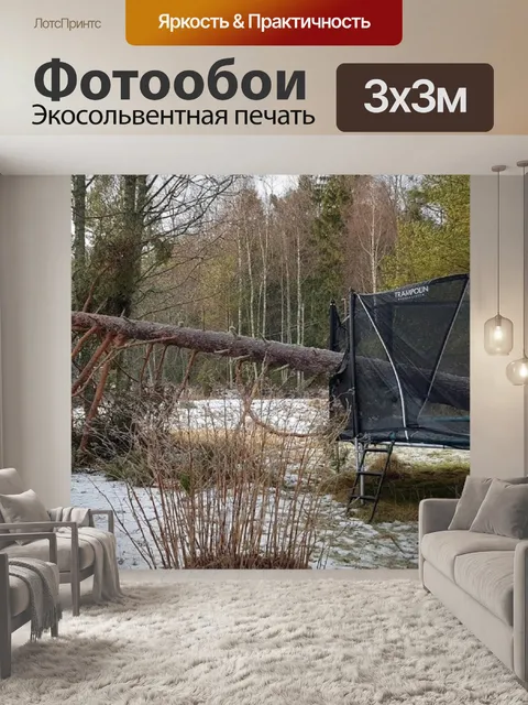 Фотообои После шторма