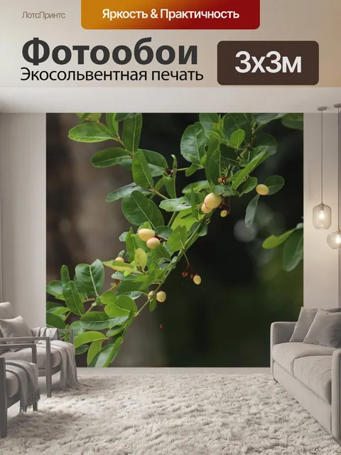 Фотообои Дерево
