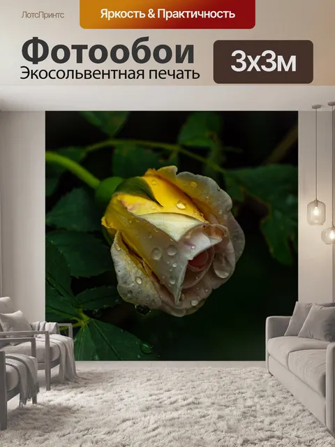 Фотообои Розы