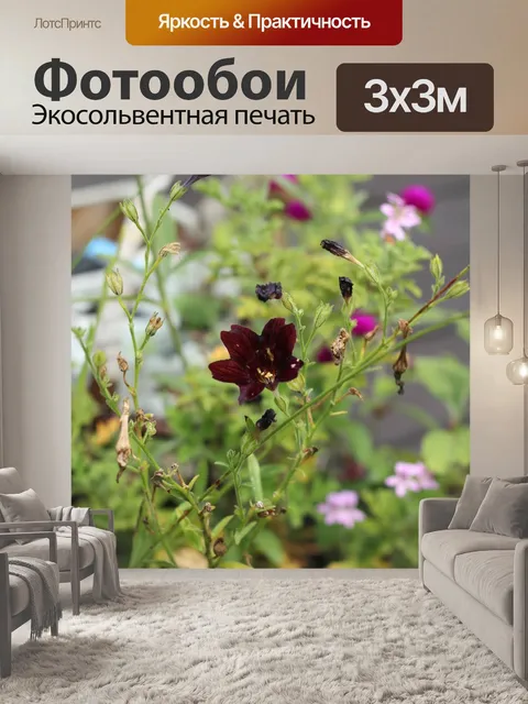 Фотообои Цветы