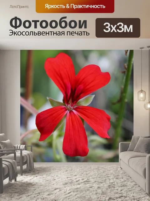 Фотообои Фон