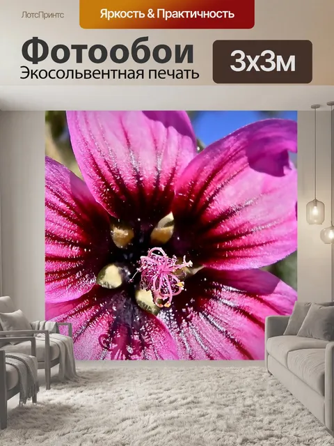 Фотообои Цветы