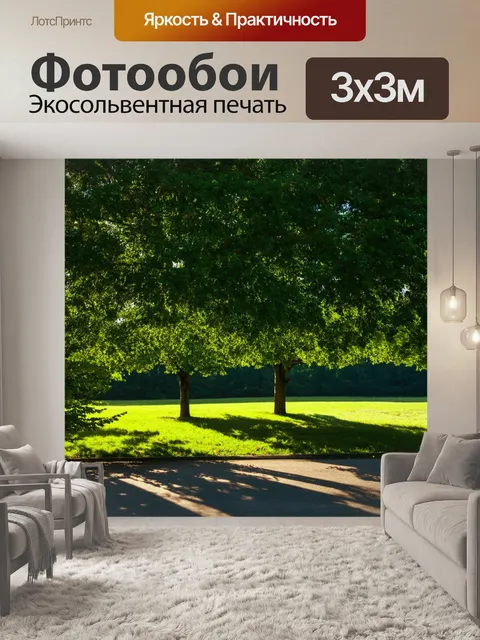 Фотообои загадочные тени под деревьями в летний день, когда воздух наполняется свежестью и радостью