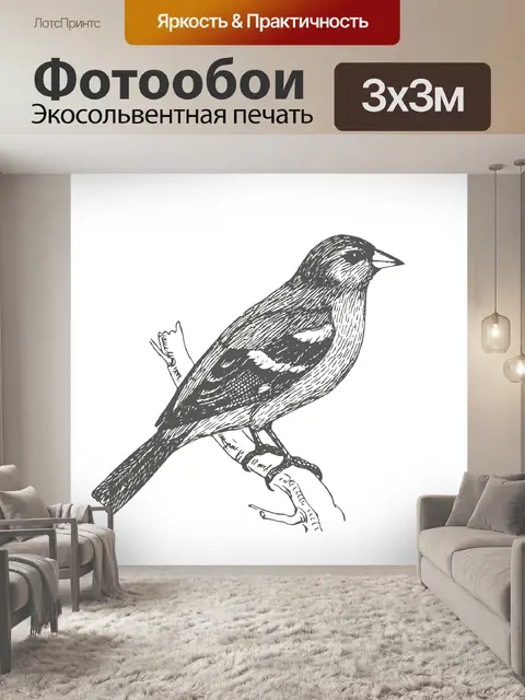 Фотообои Искусство рисования зяблика
