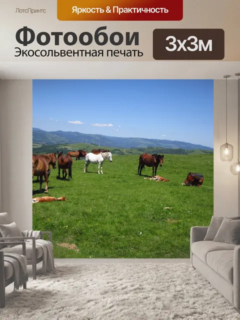 Фотообои Лошади