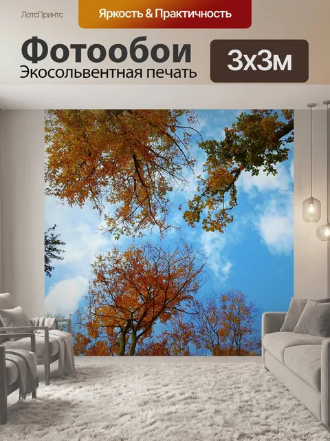 Фотообои Деревья