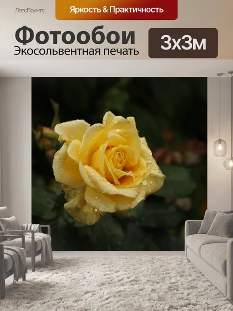 Фотообои Желтая роза