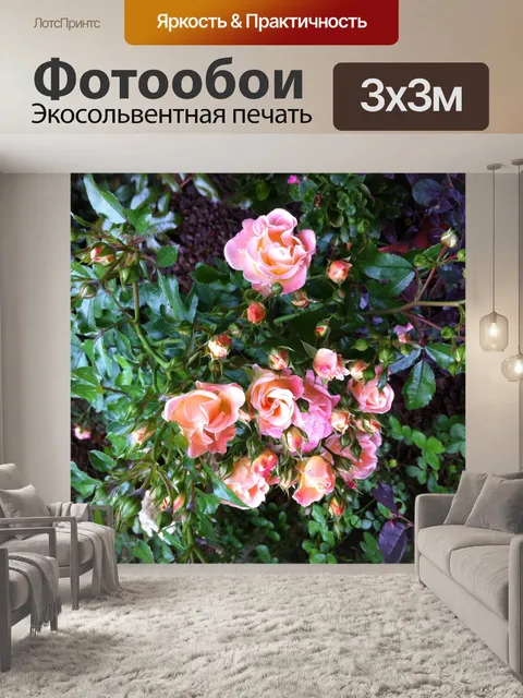 Фотообои Розы в саду