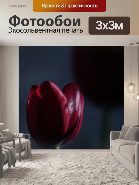 Фотообои Цветок