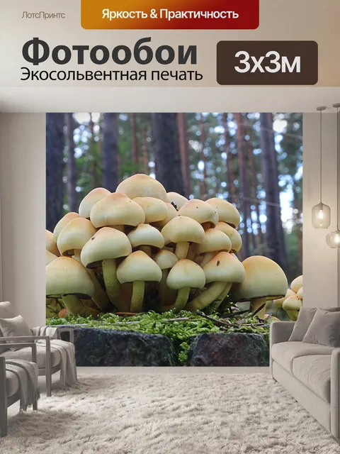 Фотообои Лес