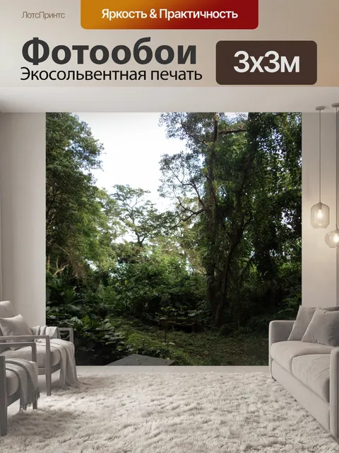 Фотообои дождевой лес парк