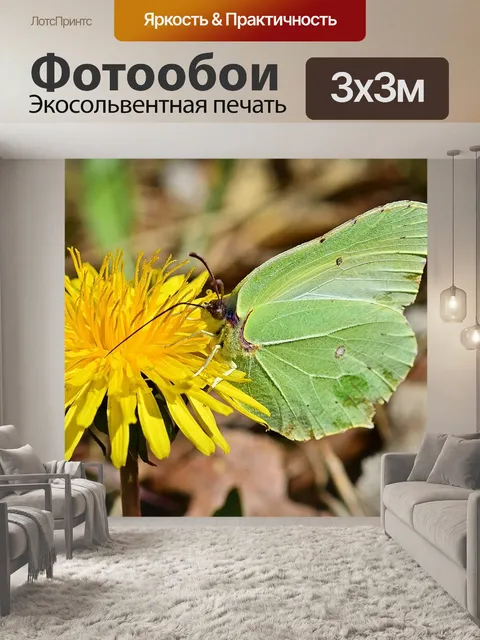 Фотообои Природа