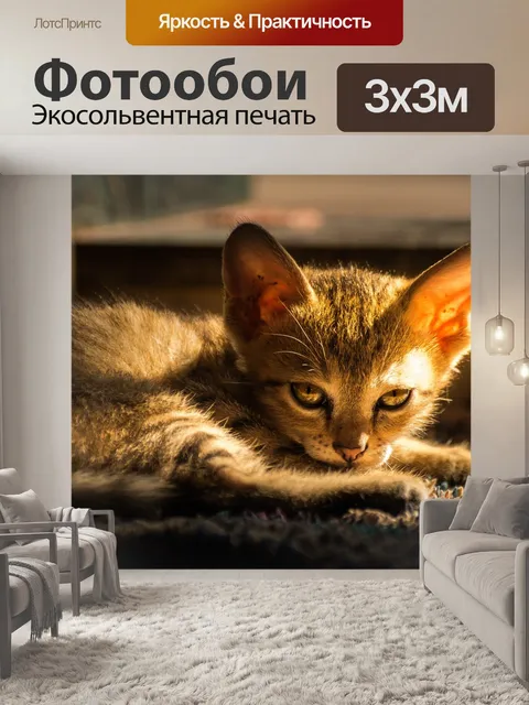Фотообои Кошка