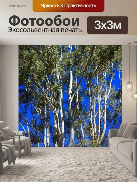 Фотообои Эвкалипт