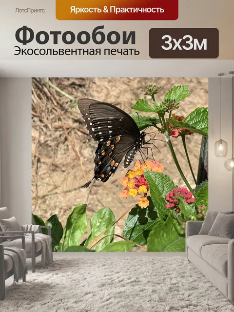 Фотообои Бабочка