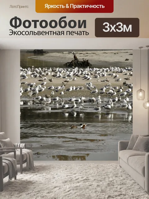 Фотообои Стая чаек