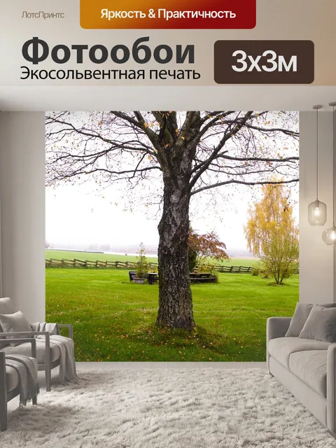 Фотообои Дерево