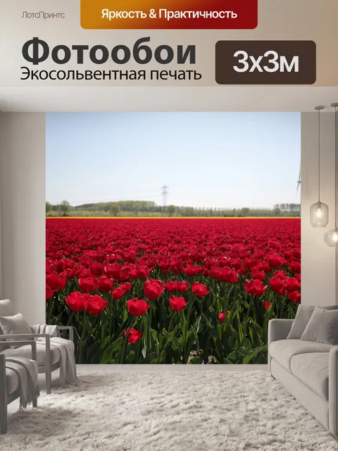 Фотообои Поля тюльпанов