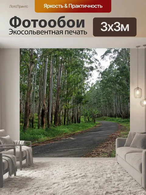 Фотообои Лес