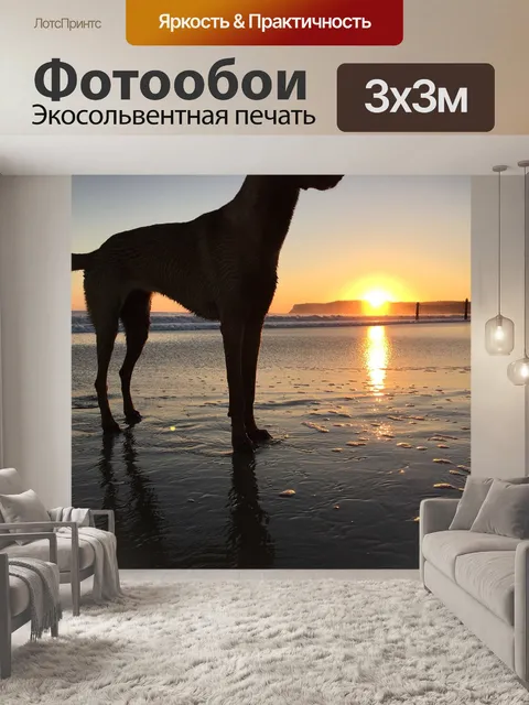 Фотообои Собака