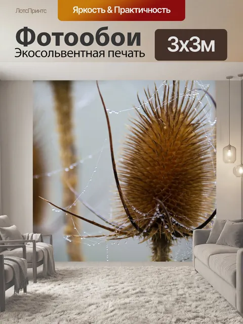 Фотообои Thistle цветок