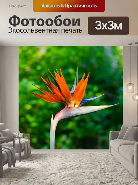 Фотообои Цветок