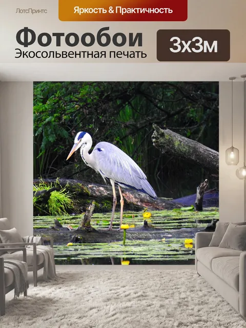 Фотообои Птица