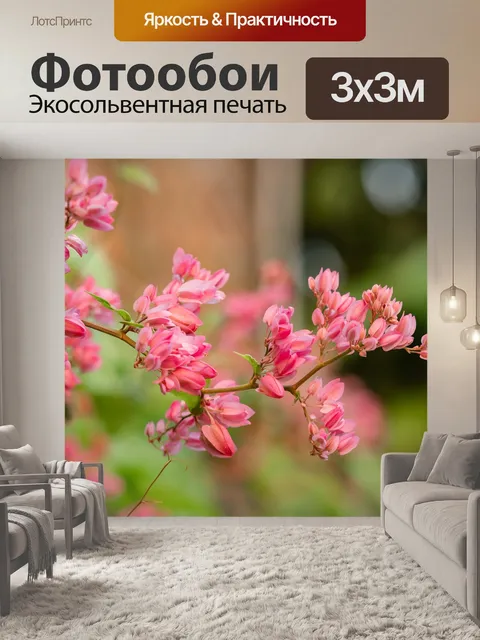 Фотообои Цветок орхидеи