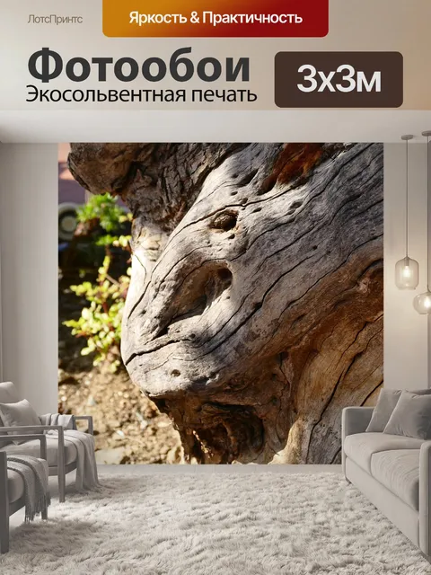 Фотообои Древесина