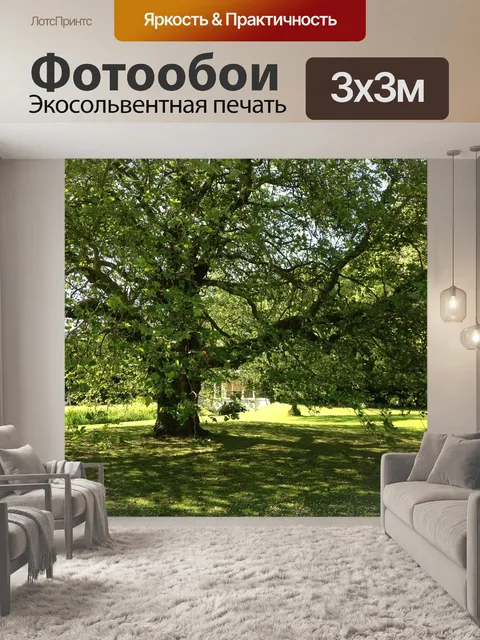Фотообои Деревья