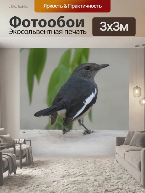 Фотообои Птица