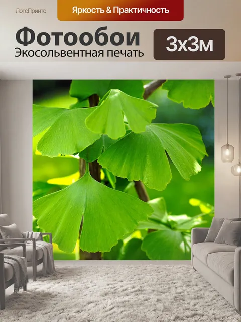 Фотообои Гинкго