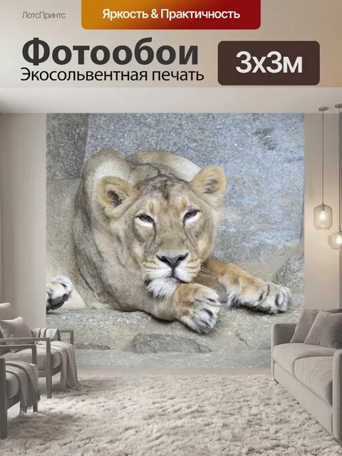 Фотообои Лев