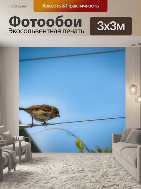 Фотообои Птица