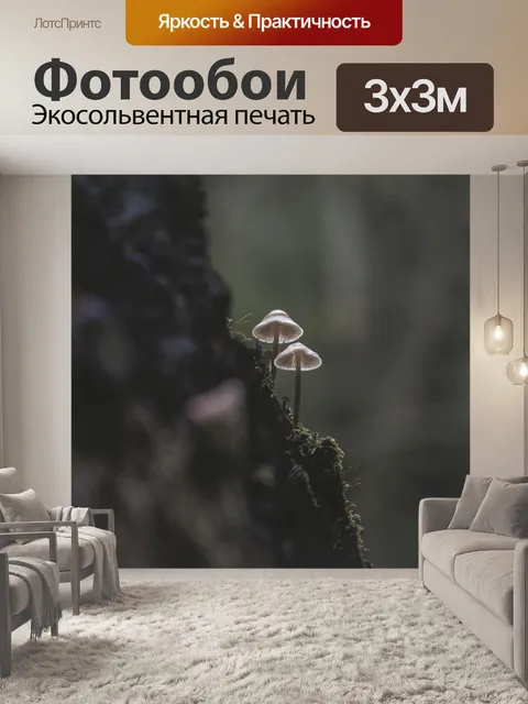 Фотообои Грибы