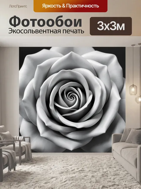 Фотообои Белая роза крупным планом