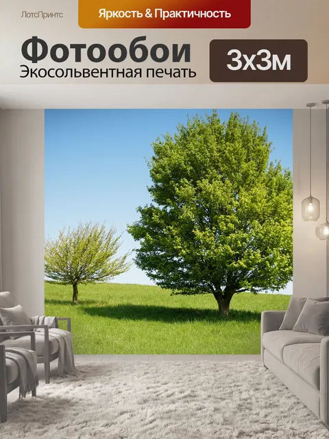 Фотообои Деревья